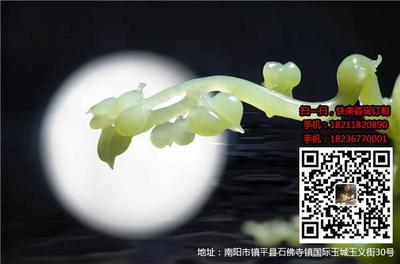 和田玉翠青、和田玉翠青訂制、 首渡和田玉